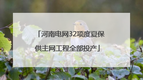 河南电网32项度夏保供主网工程全部投产