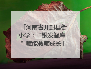 河南省开封县街小学：“银发智库”赋能教师成长