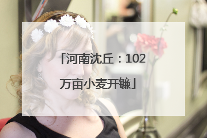 河南沈丘：102 万亩小麦开镰