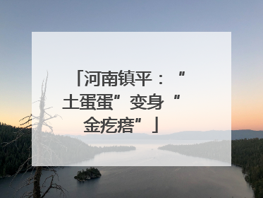 河南镇平：“土蛋蛋”变身“金疙瘩”