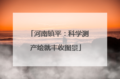 河南镇平：科学测产绘就丰收图景