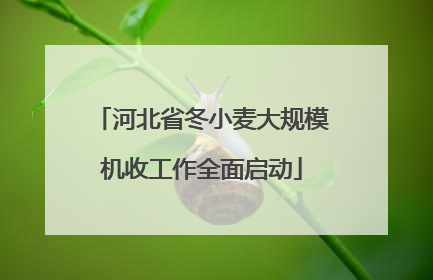 河北省冬小麦大规模机收工作全面启动