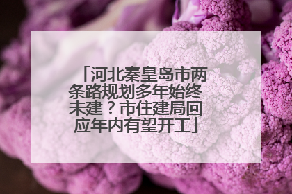 河北秦皇岛市两条路规划多年始终未建？市住建局回应年内有望开工