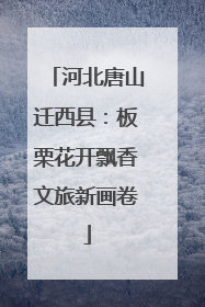 河北唐山迁西县：板栗花开飘香文旅新画卷
