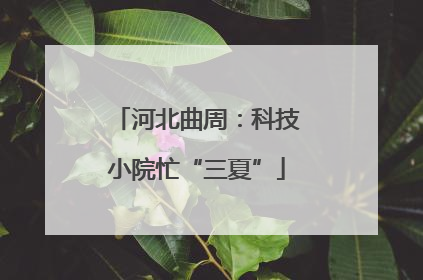 河北曲周：科技小院忙“三夏”
