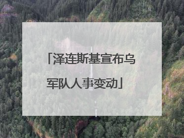泽连斯基宣布乌军队人事变动