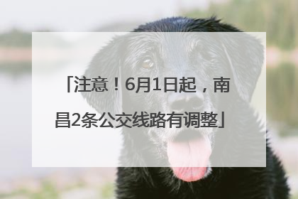 注意！6月1日起，南昌2条公交线路有调整