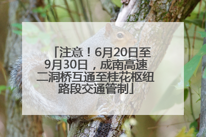 注意！6月20日至9月30日，成南高速二洞桥互通至桂花枢纽路段交通管制