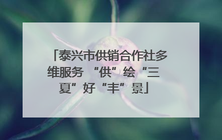 泰兴市供销合作社多维服务 “供”绘“三夏”好“丰”景