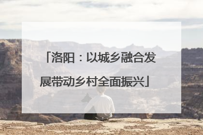 洛阳：以城乡融合发展带动乡村全面振兴