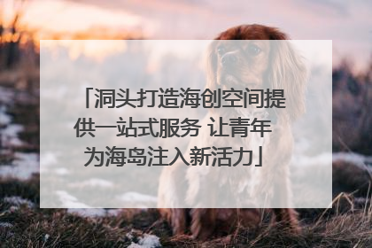 洞头打造海创空间提供一站式服务 让青年为海岛注入新活力
