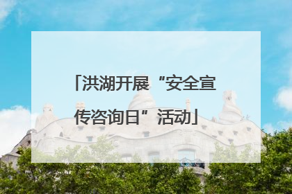 洪湖开展“安全宣传咨询日”活动