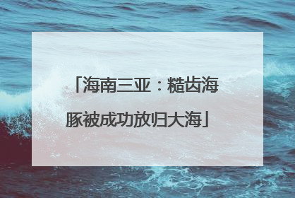 海南三亚：糙齿海豚被成功放归大海