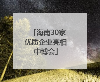 海南30家优质企业亮相中博会