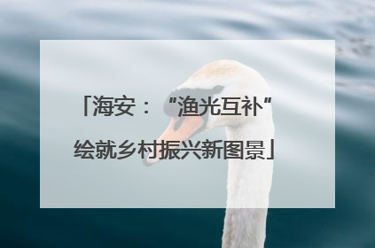 海安：“渔光互补” 绘就乡村振兴新图景