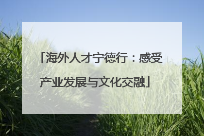 海外人才宁德行：感受产业发展与文化交融