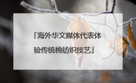 海外华文媒体代表体验传统棉纺织技艺