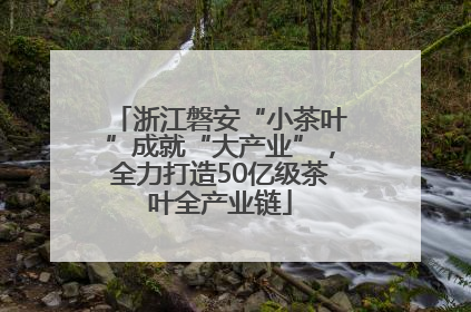 浙江磐安“小茶叶”成就“大产业”，全力打造50亿级茶叶全产业链