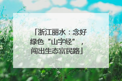 浙江丽水：念好绿色“山字经”，闯出生态富民路