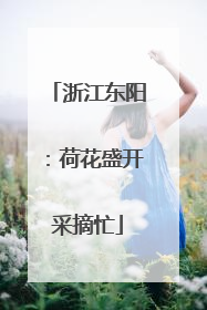 浙江东阳：荷花盛开采摘忙