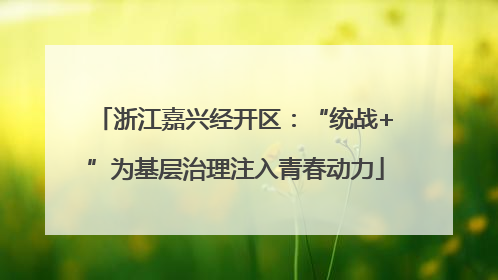 浙江嘉兴经开区：“统战+”为基层治理注入青春动力