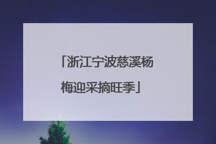 浙江宁波慈溪杨梅迎采摘旺季