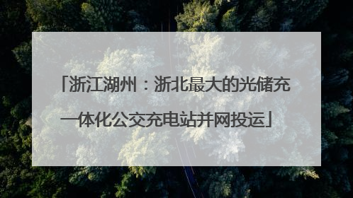 浙江湖州：浙北最大的光储充一体化公交充电站并网投运