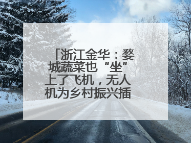 浙江金华：婺城蔬菜也“坐”上了飞机，无人机为乡村振兴插上“翅膀”