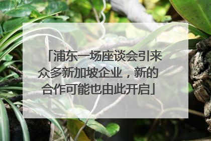 浦东一场座谈会引来众多新加坡企业，新的合作可能也由此开启