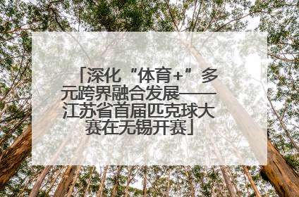 深化“体育+”多元跨界融合发展——江苏省首届匹克球大赛在无锡开赛