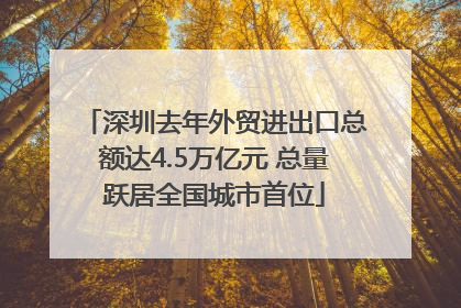 深圳去年外贸进出口总额达4.5万亿元 总量跃居全国城市首位