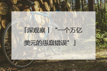 深观察丨“一个万亿美元的愚蠢错误”