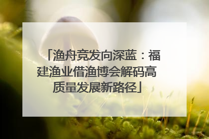 渔舟竞发向深蓝：福建渔业借渔博会解码高质量发展新路径