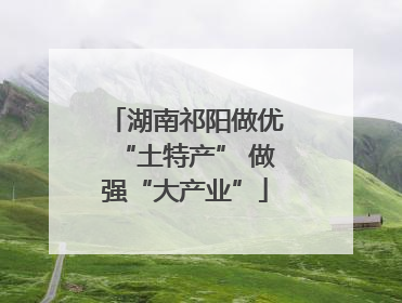 湖南祁阳做优“土特产” 做强“大产业”