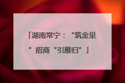 湖南常宁：“筑金巢”招商“引雁归”