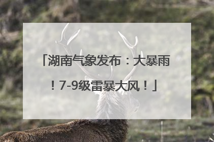 湖南气象发布：大暴雨！7-9级雷暴大风！