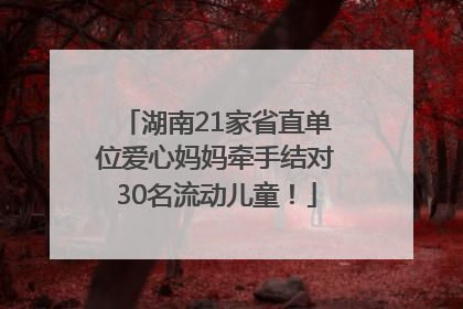 湖南21家省直单位爱心妈妈牵手结对30名流动儿童！