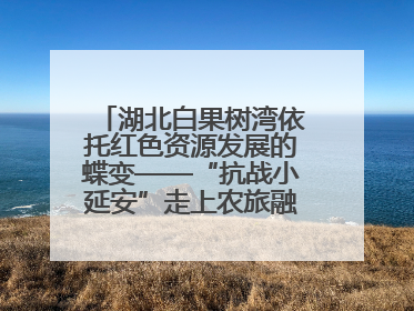 湖北白果树湾依托红色资源发展的蝶变——“抗战小延安”走上农旅融合振兴路