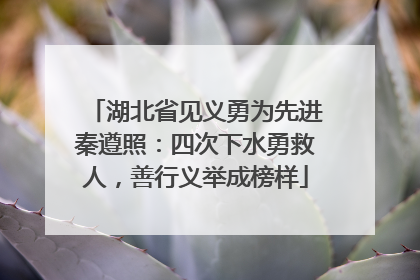 湖北省见义勇为先进秦遵照：四次下水勇救人，善行义举成榜样