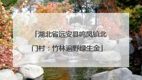 湖北省远安县鸣凤镇北门村：竹林遍野绿生金
