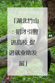 湖北竹山：招才引智进高校 促进就业助发展
