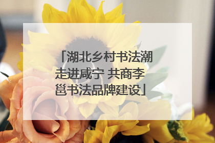 湖北乡村书法潮走进咸宁 共商李邕书法品牌建设