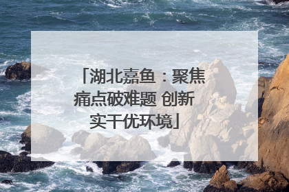 湖北嘉鱼：聚焦痛点破难题 创新实干优环境