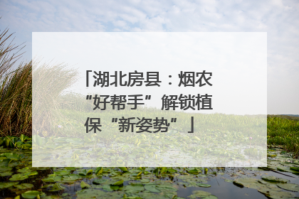 湖北房县：烟农“好帮手”解锁植保“新姿势”