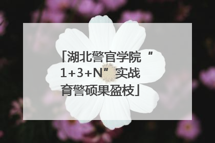 湖北警官学院“1+3+N”实战育警硕果盈枝