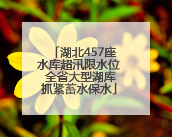 湖北457座水库超汛限水位 全省大型湖库抓紧蓄水保水