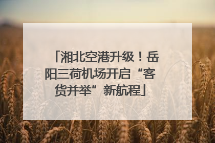 湘北空港升级！岳阳三荷机场开启“客货并举”新航程