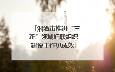 湘潭市推进“三新”领域妇联组织建设工作见成效