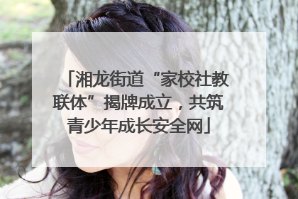 湘龙街道“家校社教联体”揭牌成立，共筑青少年成长安全网