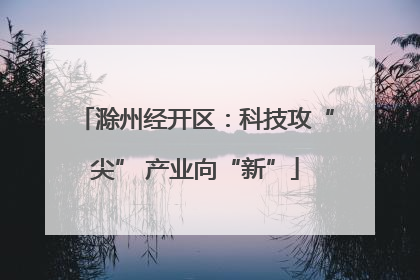 滁州经开区：科技攻“尖” 产业向“新”